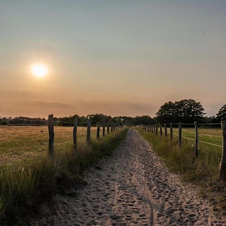 Ostsee Domizil กราล-มือริทซ์ ภายนอก รูปภาพ